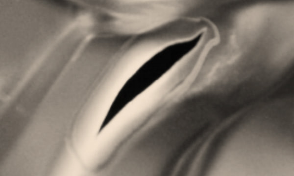 COMSOL 認定コンサルタント